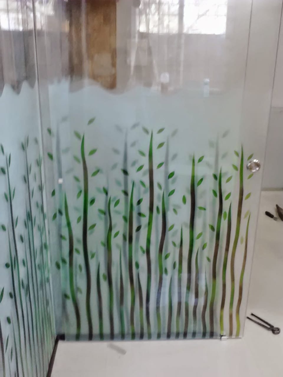 Frosted glass door with green leaf print